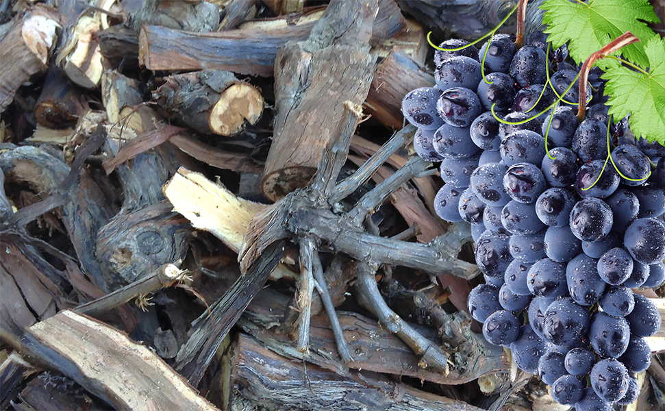 Виноградные дрова