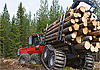 Заготовка и хранение дров